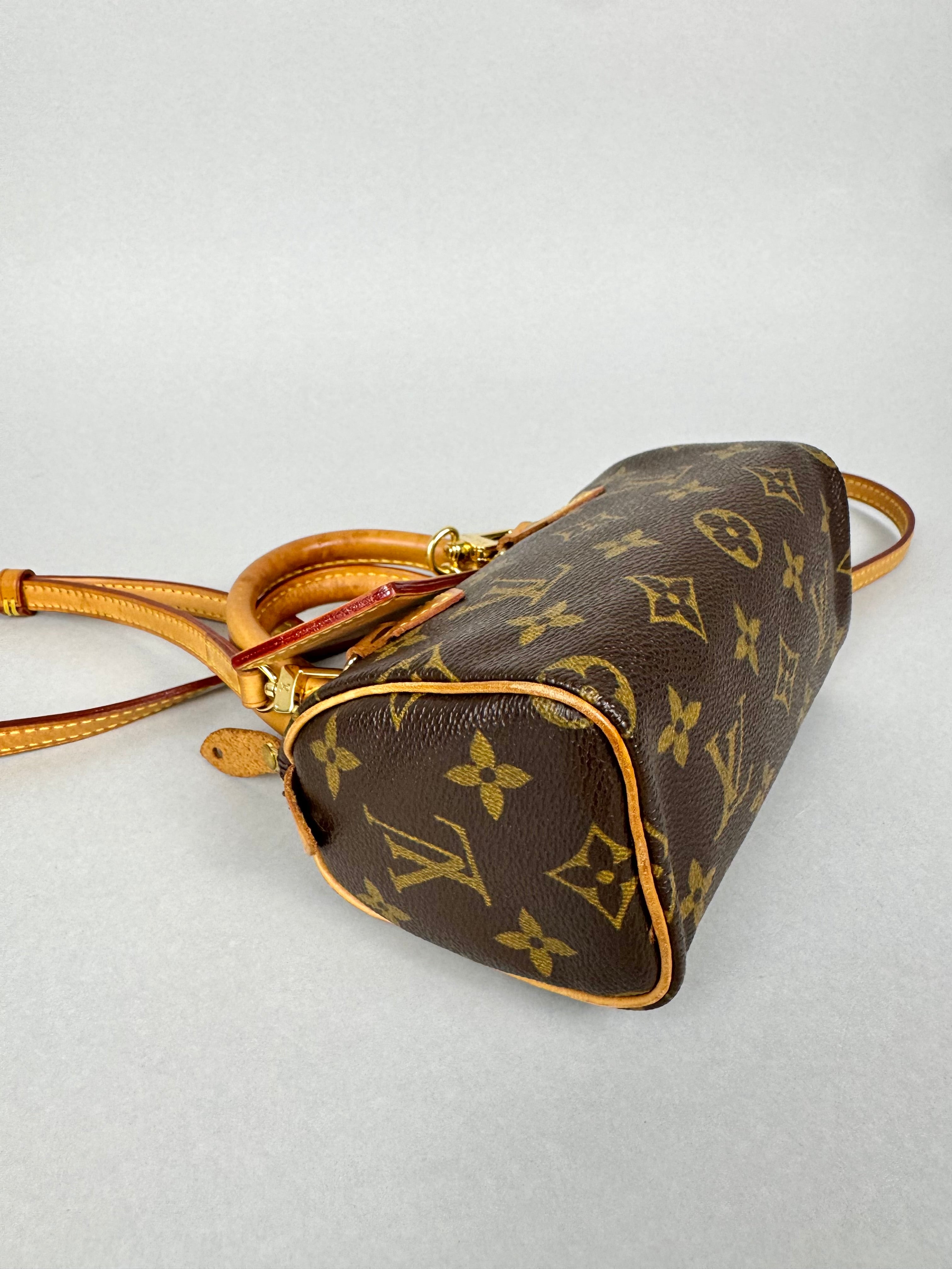 Louis Vuitton Nano Speedy Monogram