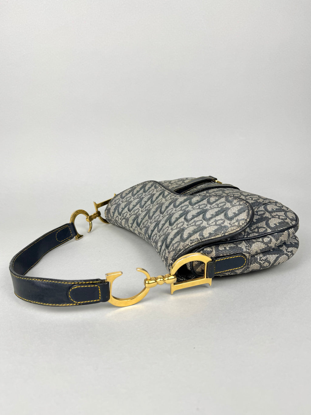 Christian Dior Double Saddle Monogram Oblique