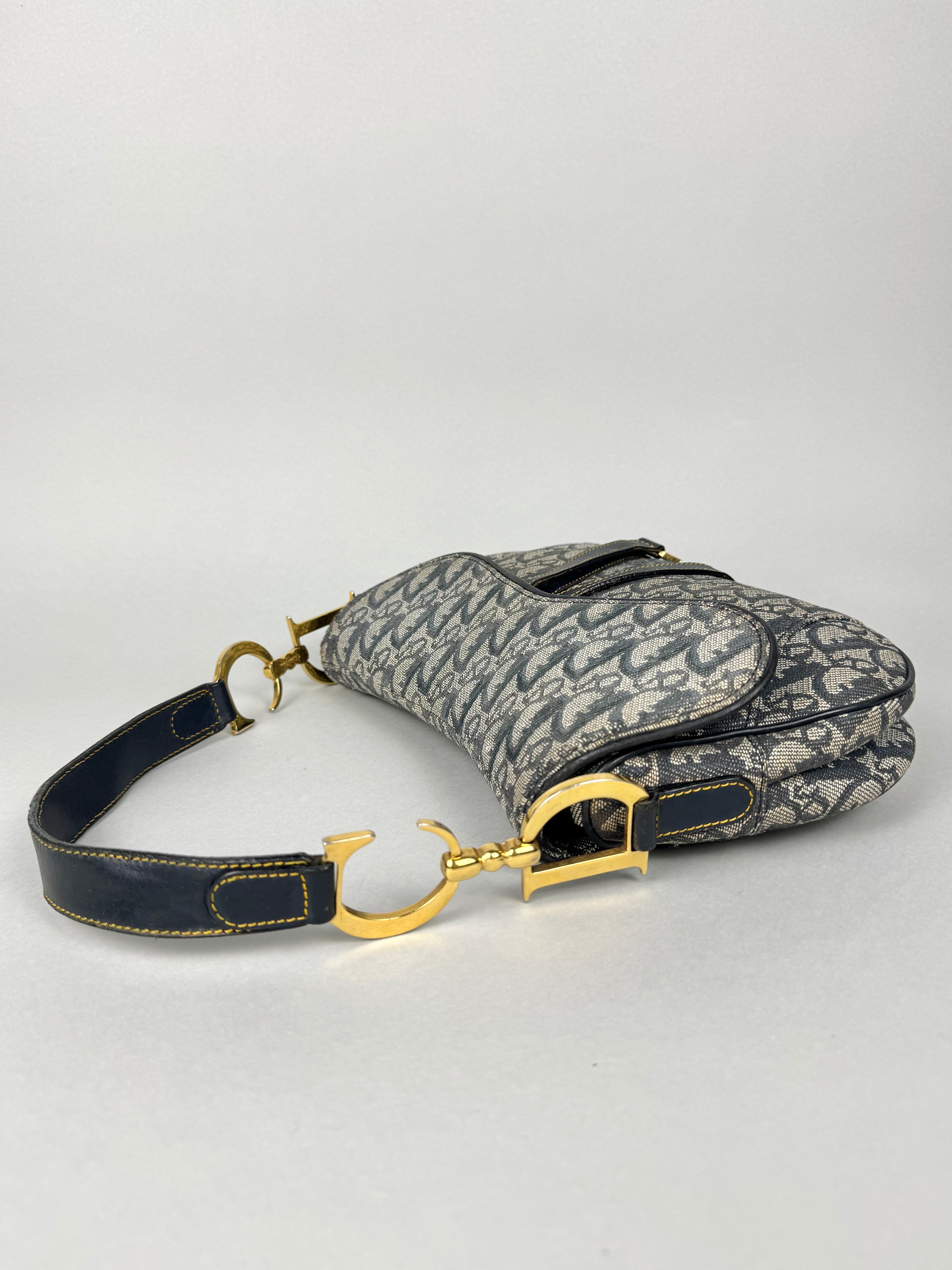 Christian Dior Double Saddle Monogram Oblique