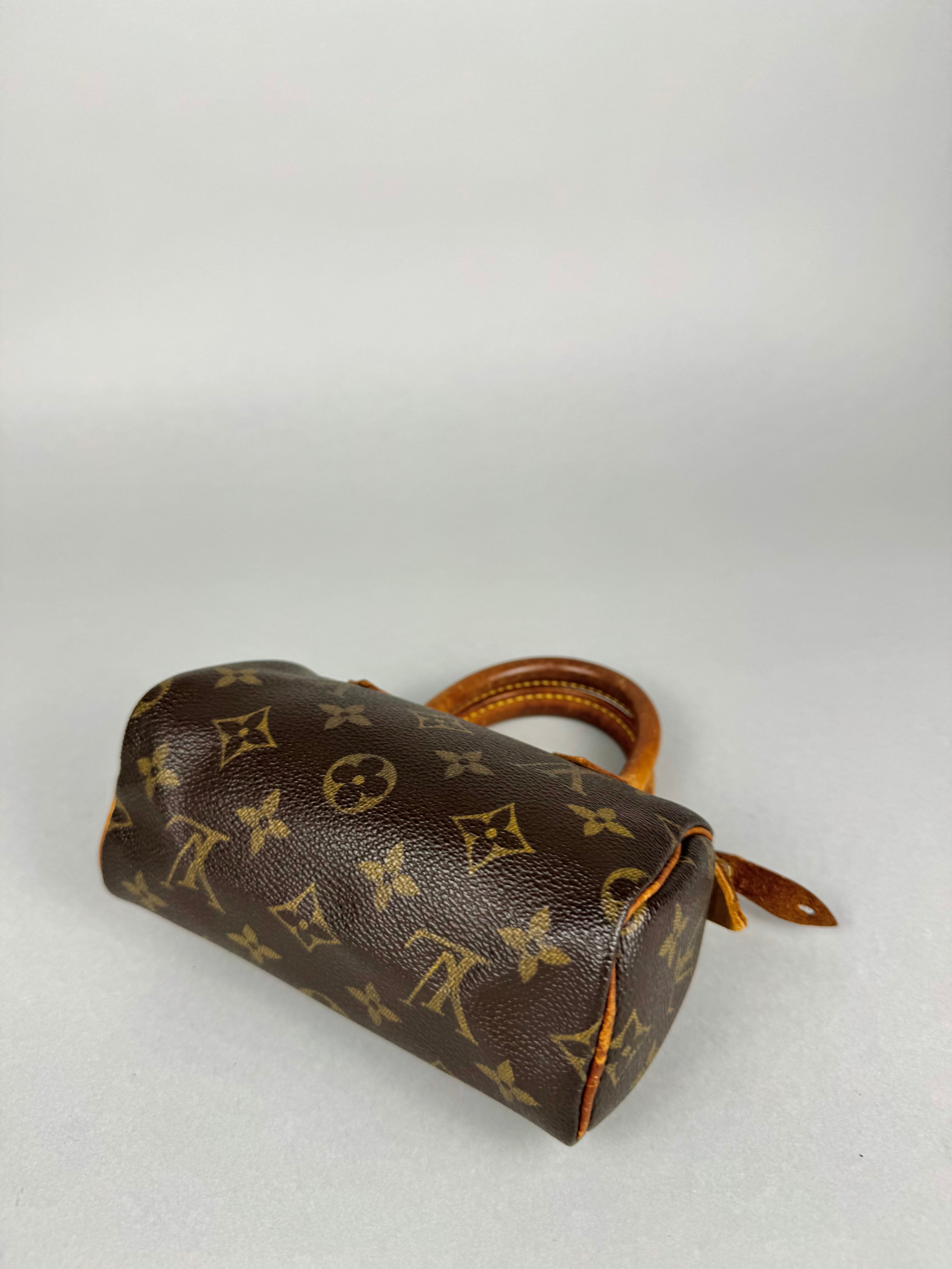 Louis Vuitton Nano Speedy Monogram