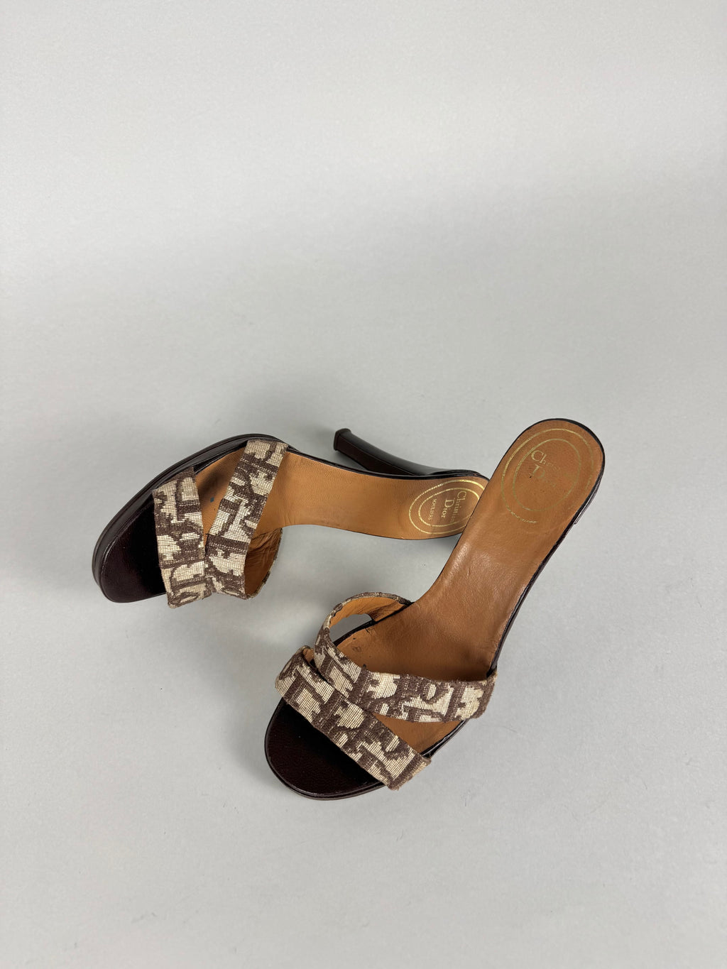 Christian Dior Monogram Heels