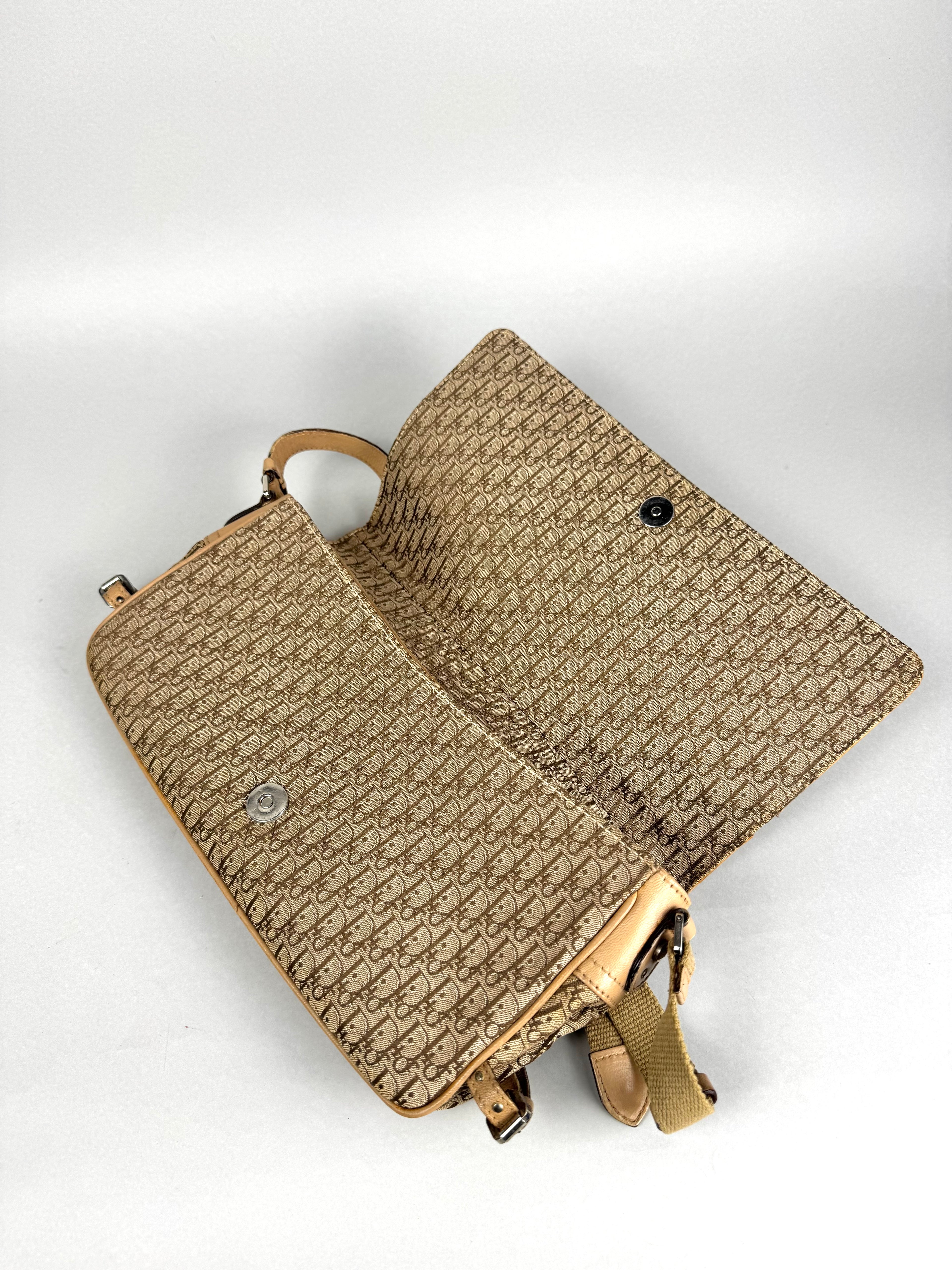 Christian Dior Monogram Street Chic