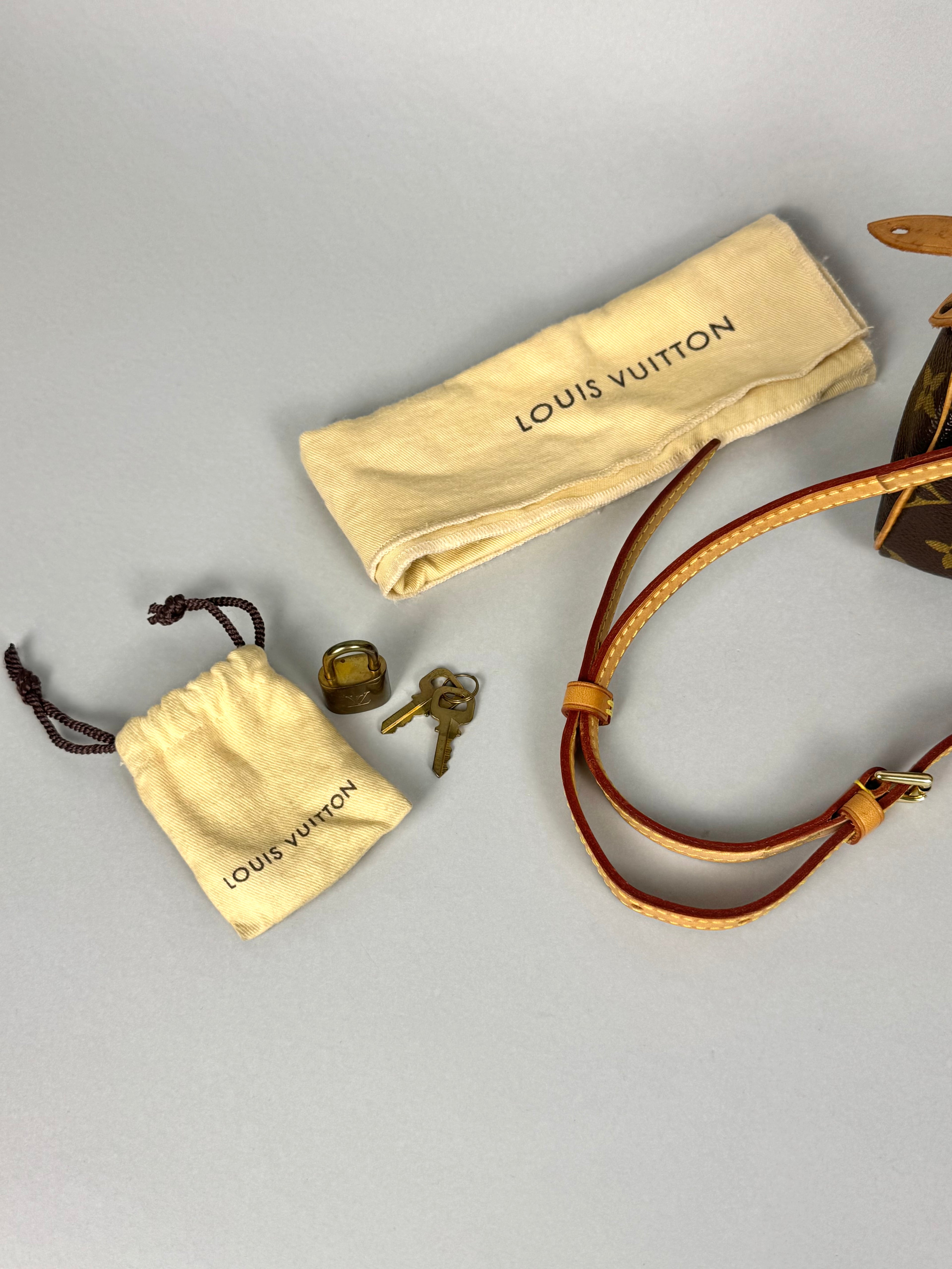 Louis Vuitton Nano Speedy Monogram