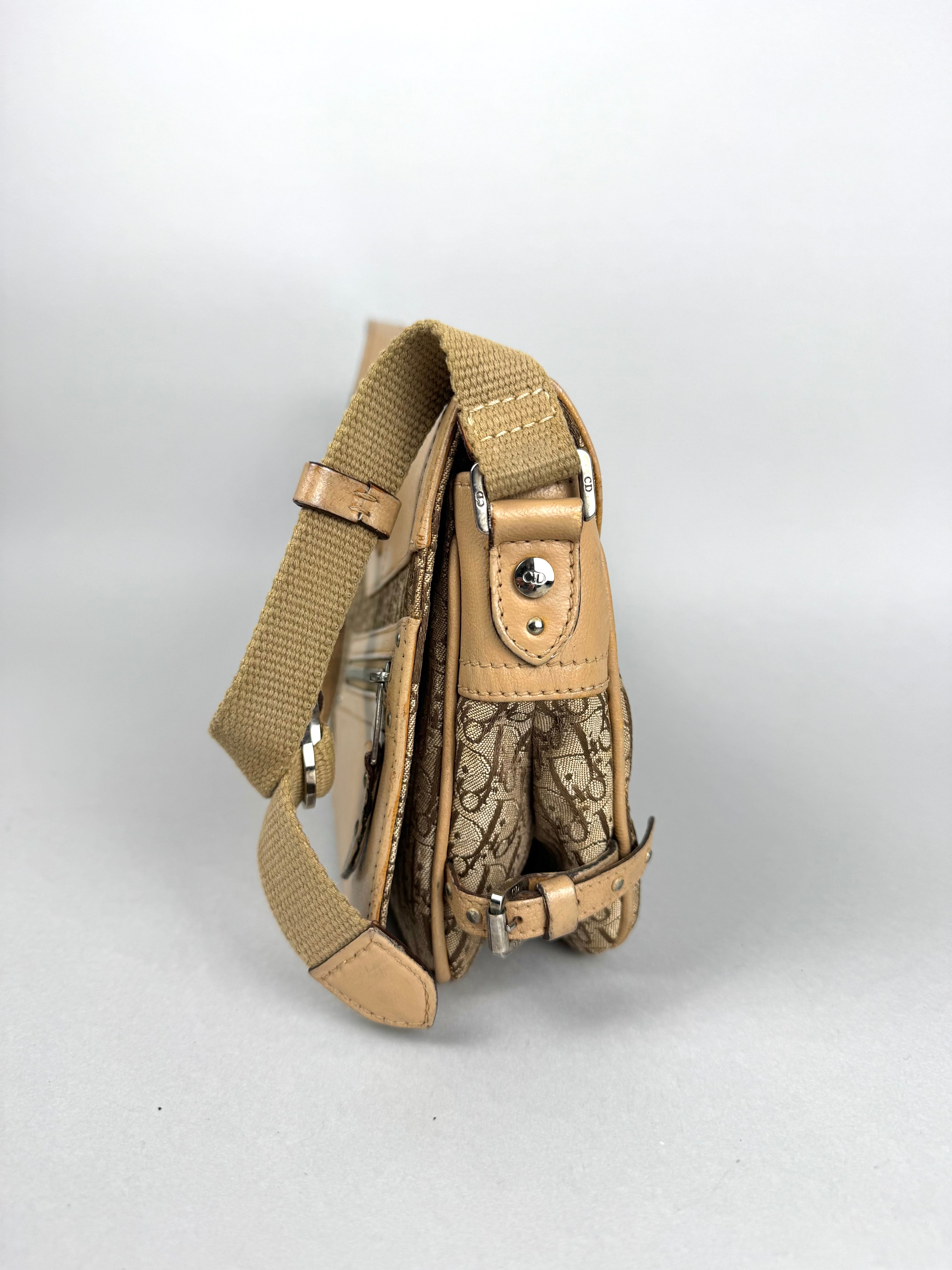 Christian Dior Monogram Street Chic