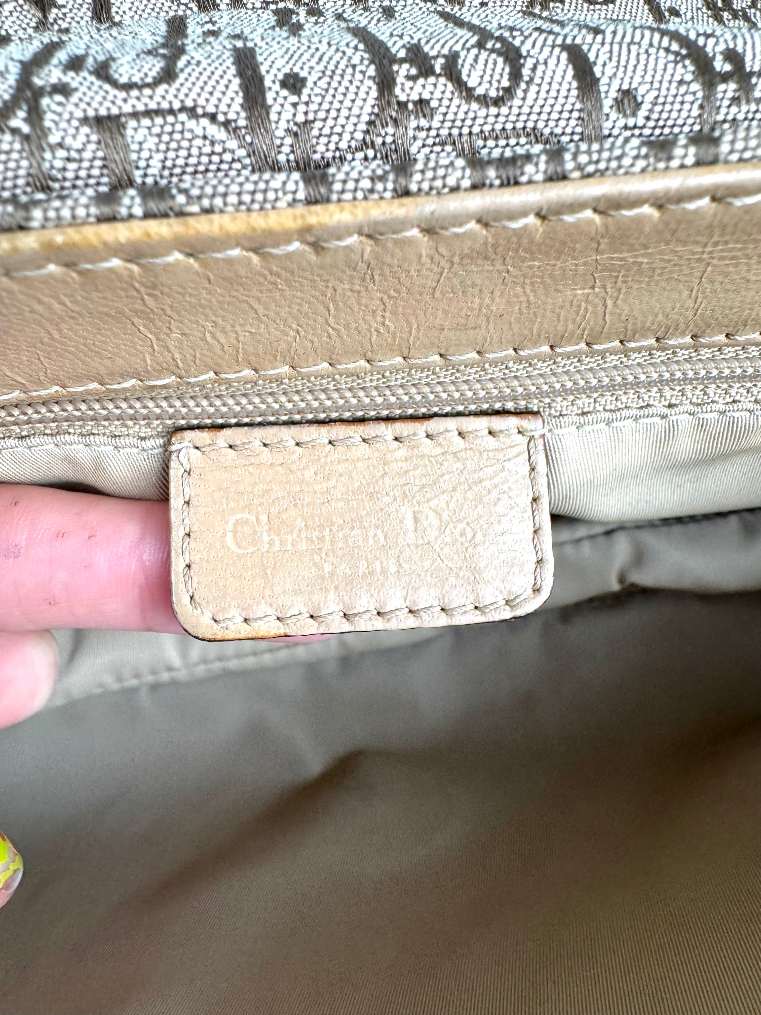 Christian Dior Monogram Street Chic