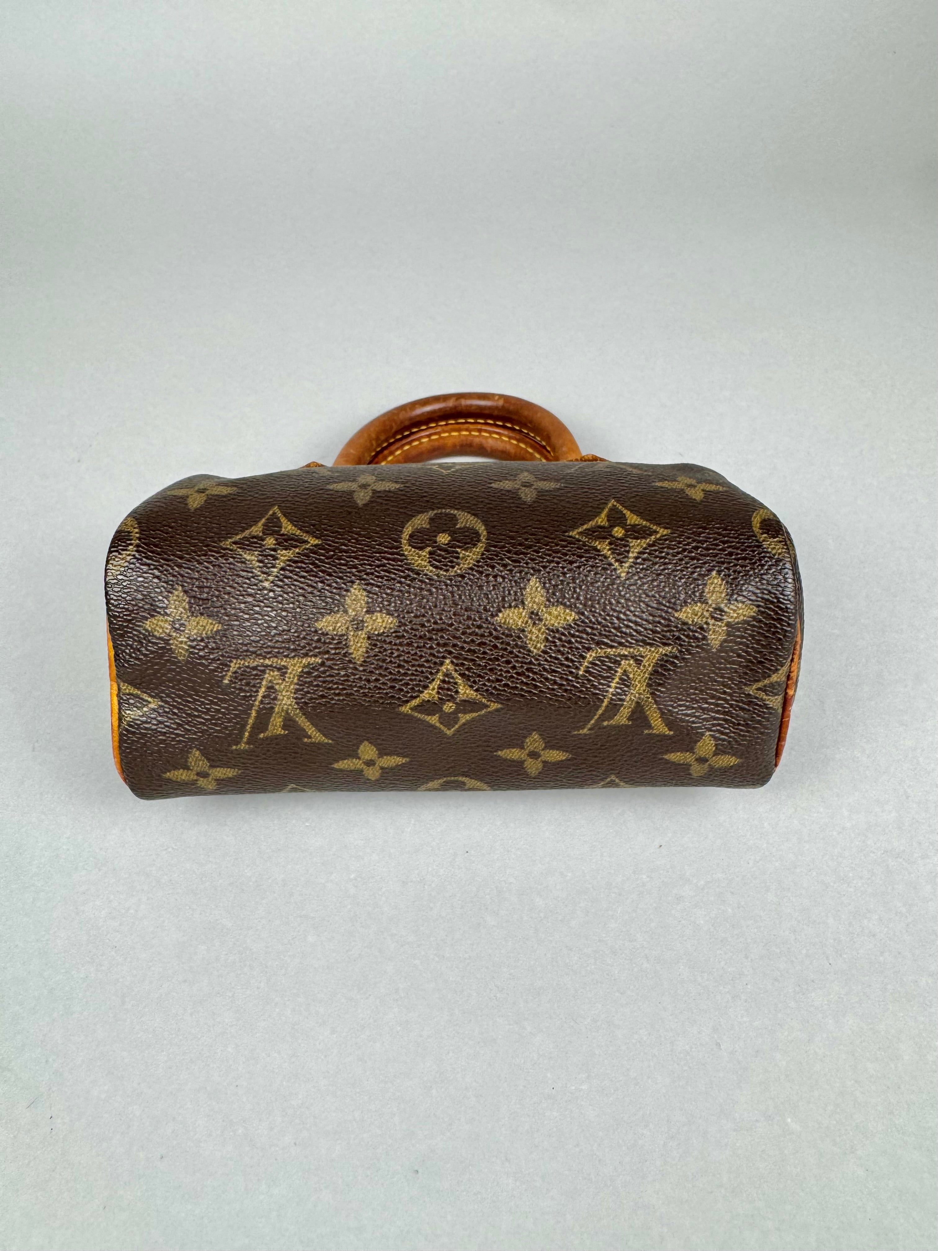 Louis Vuitton Nano Speedy Monogram