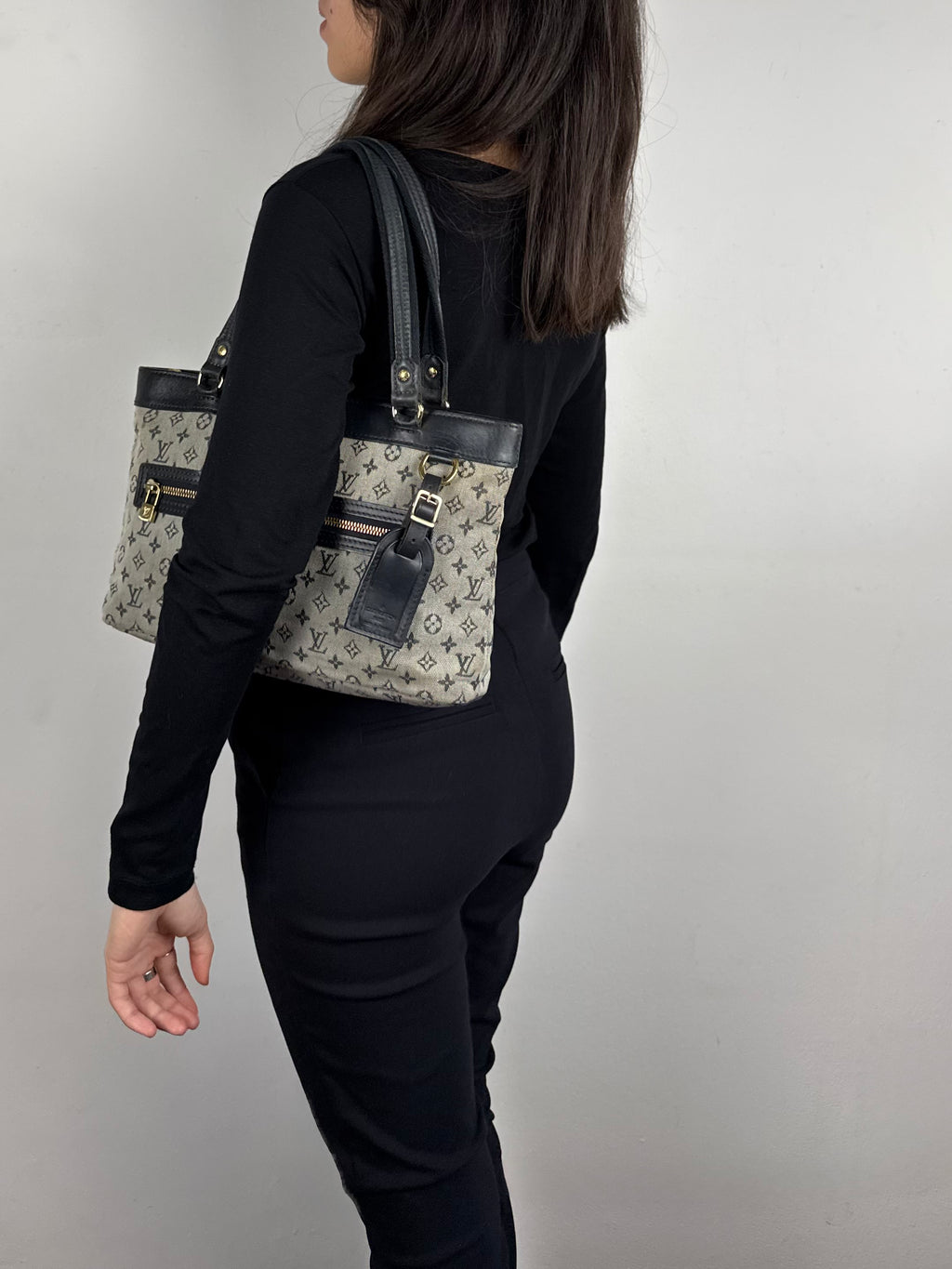Louis Vuitton Monogram Mini Lin Lucille PM