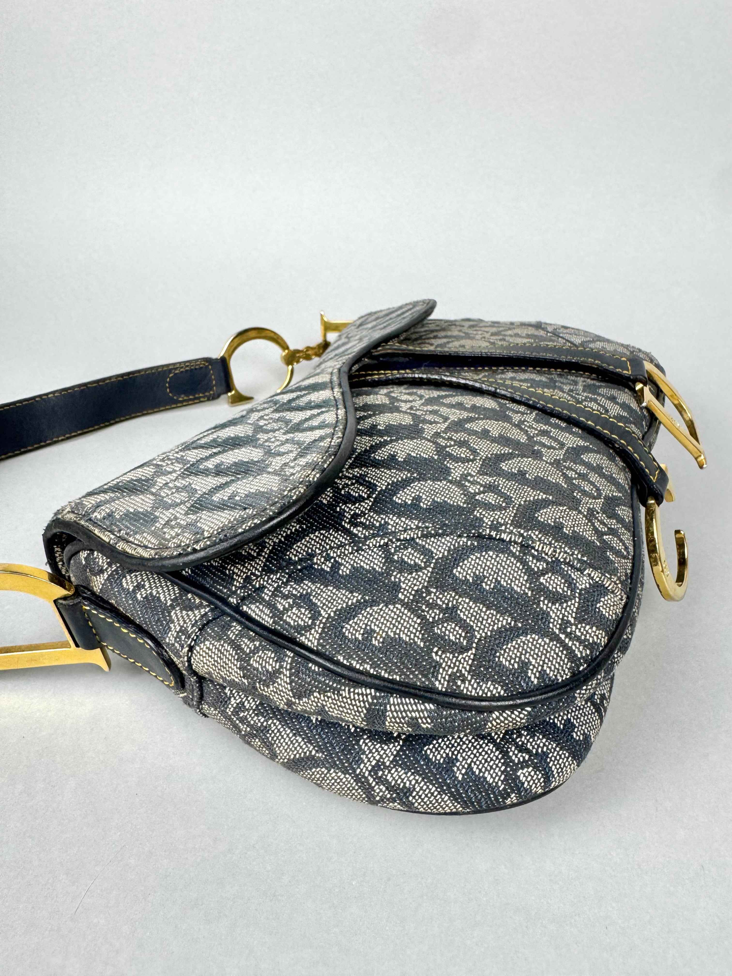 Christian Dior Double Saddle Monogram Oblique
