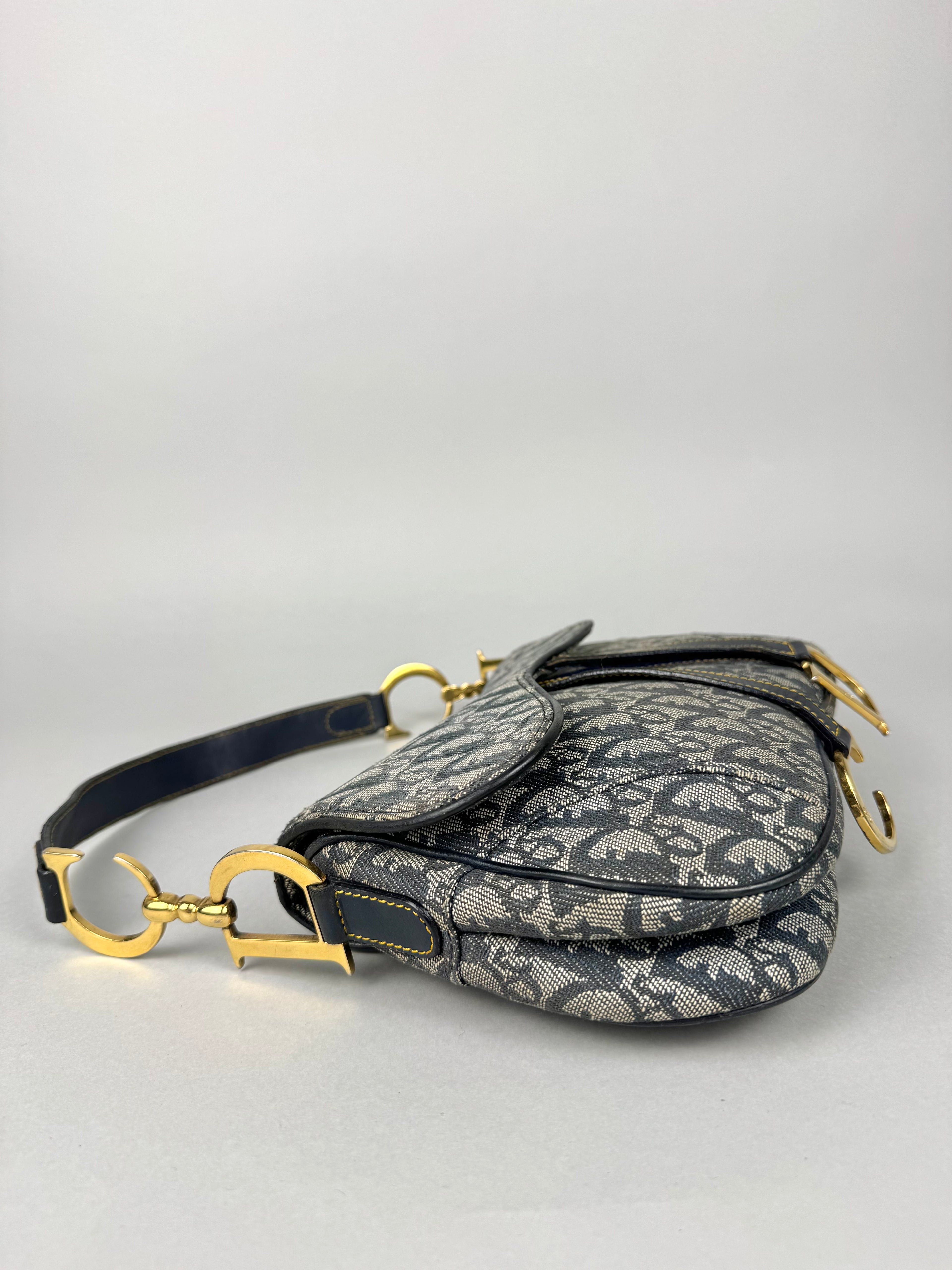 Christian Dior Double Saddle Monogram Oblique