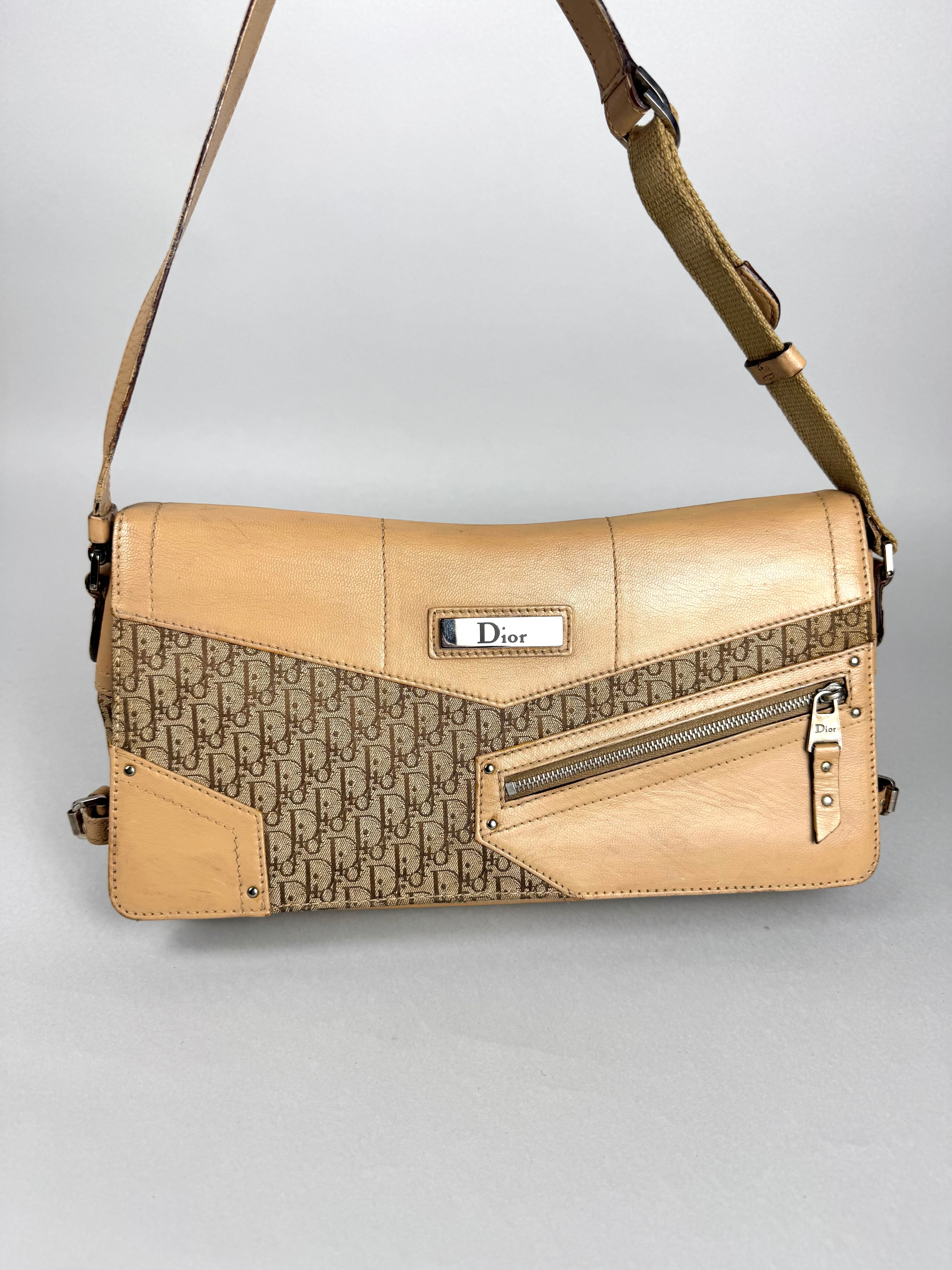 Christian Dior Monogram Street Chic