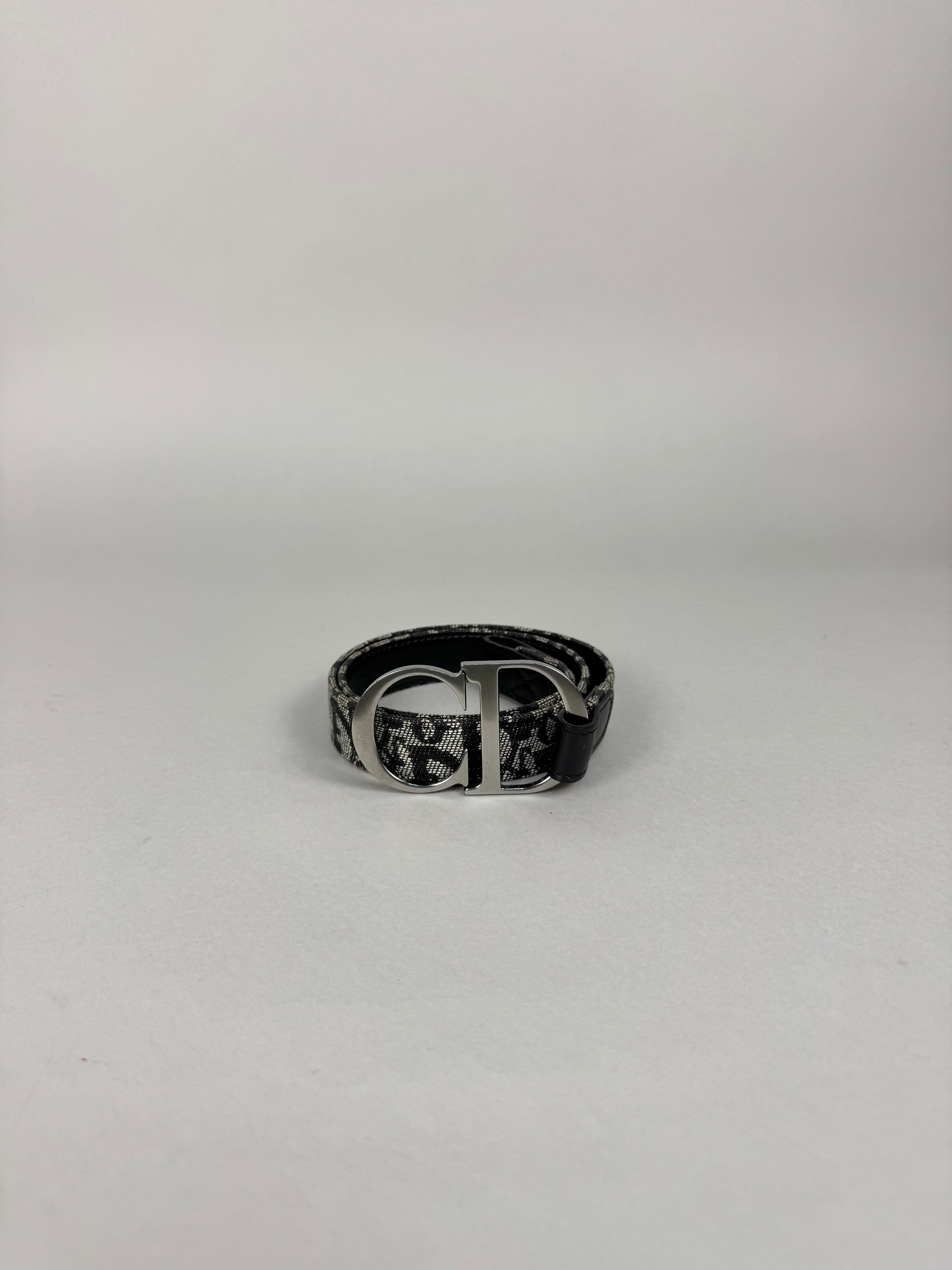 Christian Dior Monogram Oblique Logo Belt
