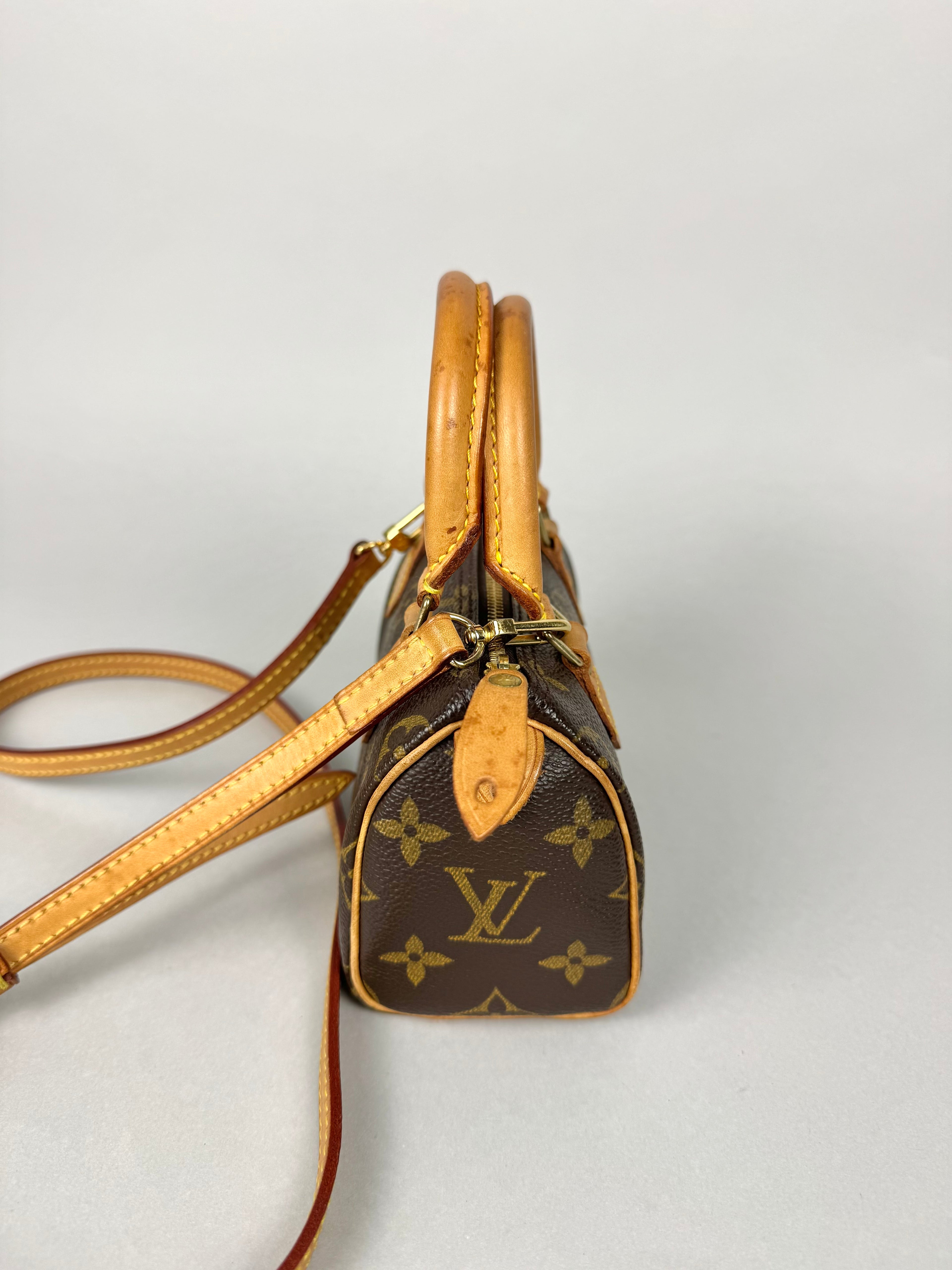 Louis Vuitton Nano Speedy Monogram