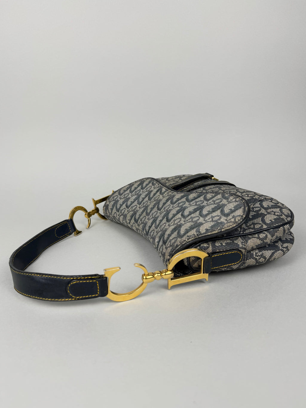 Christian Dior Double Saddle Monogram Oblique
