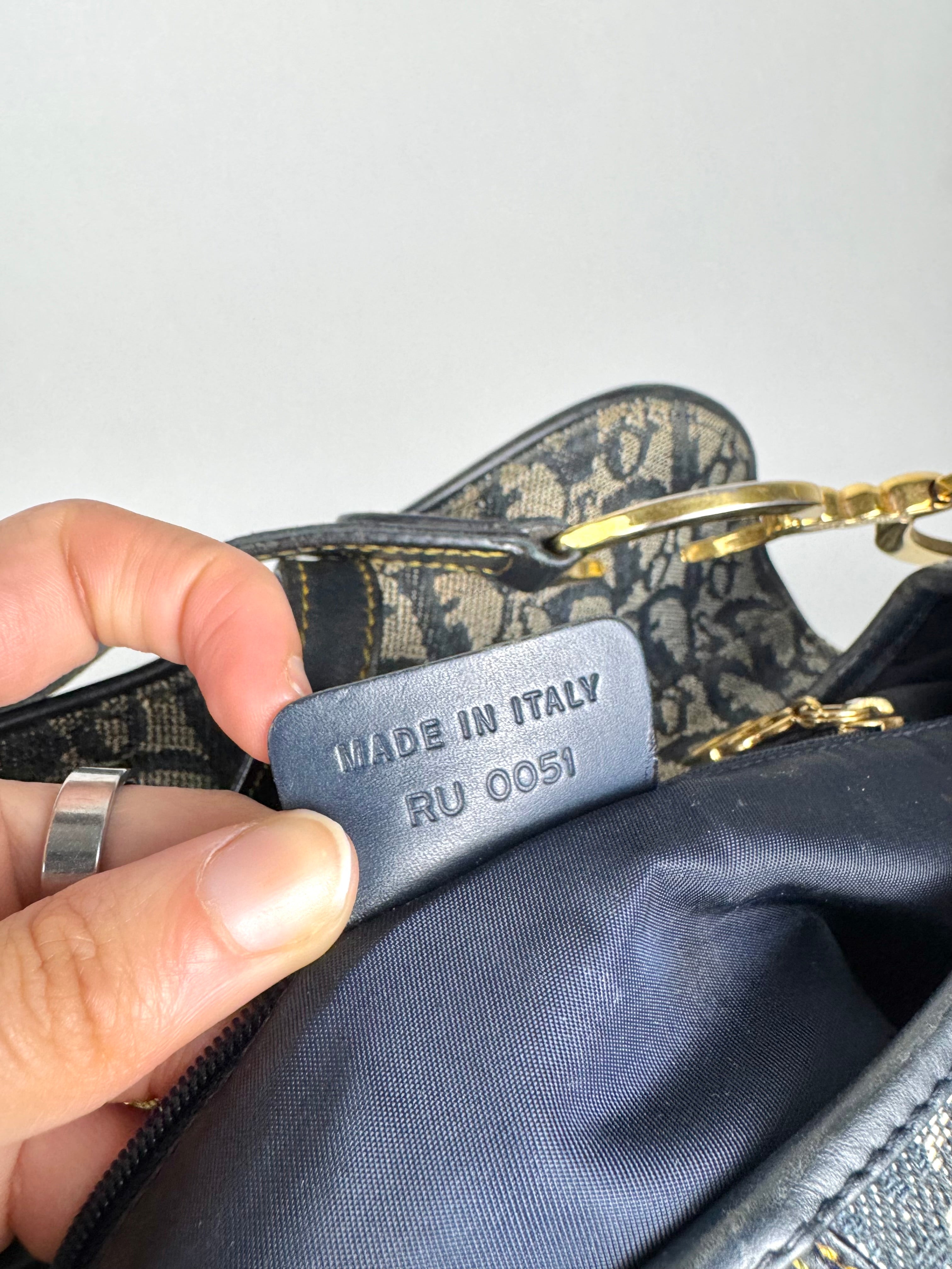 Christian Dior Double Saddle Monogram Oblique