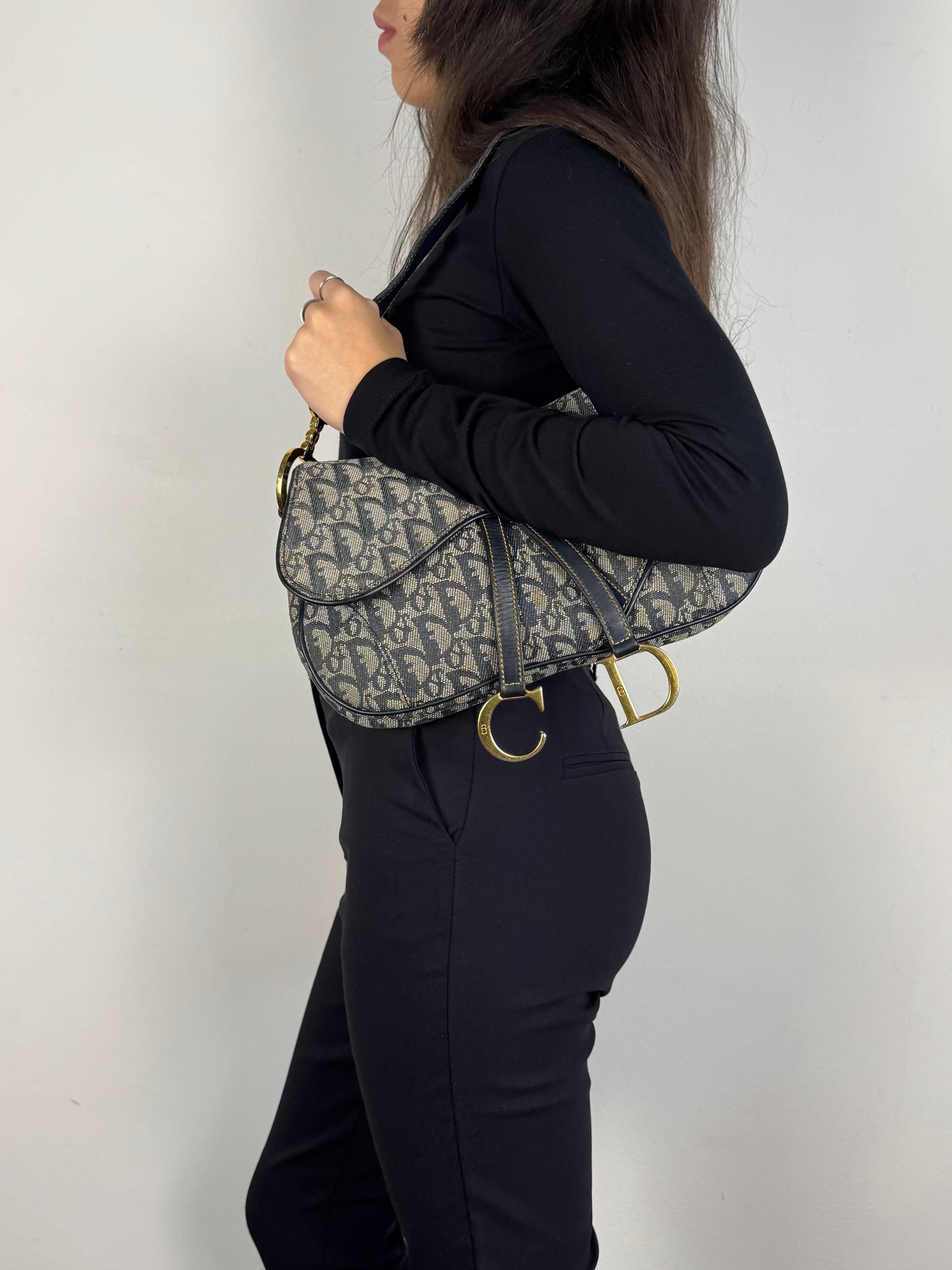 Christian Dior Double Saddle Monogram Oblique