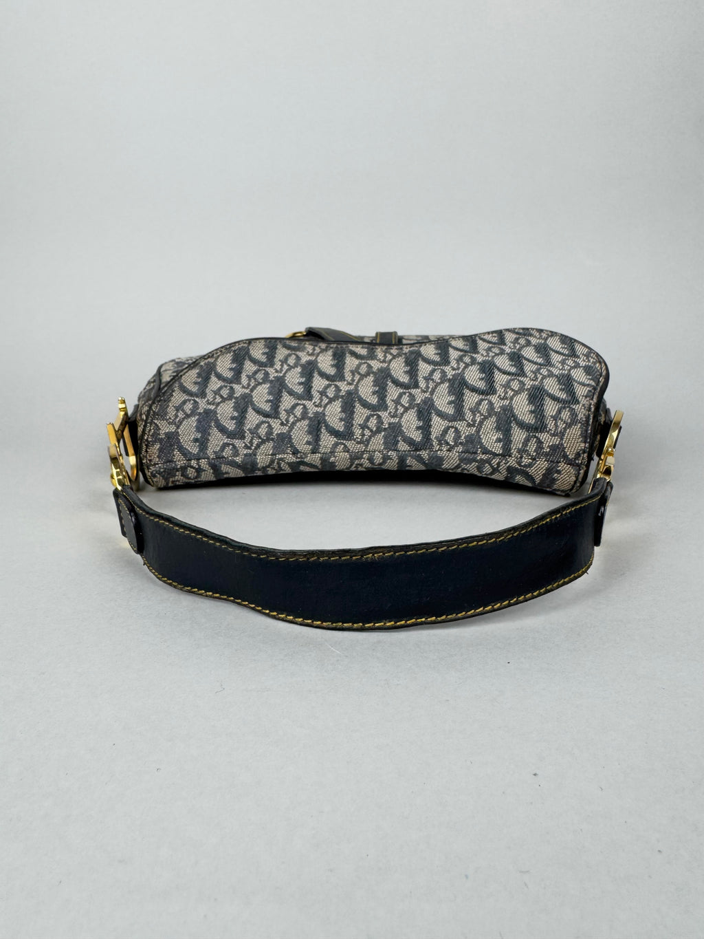 Christian Dior Double Saddle Monogram Oblique