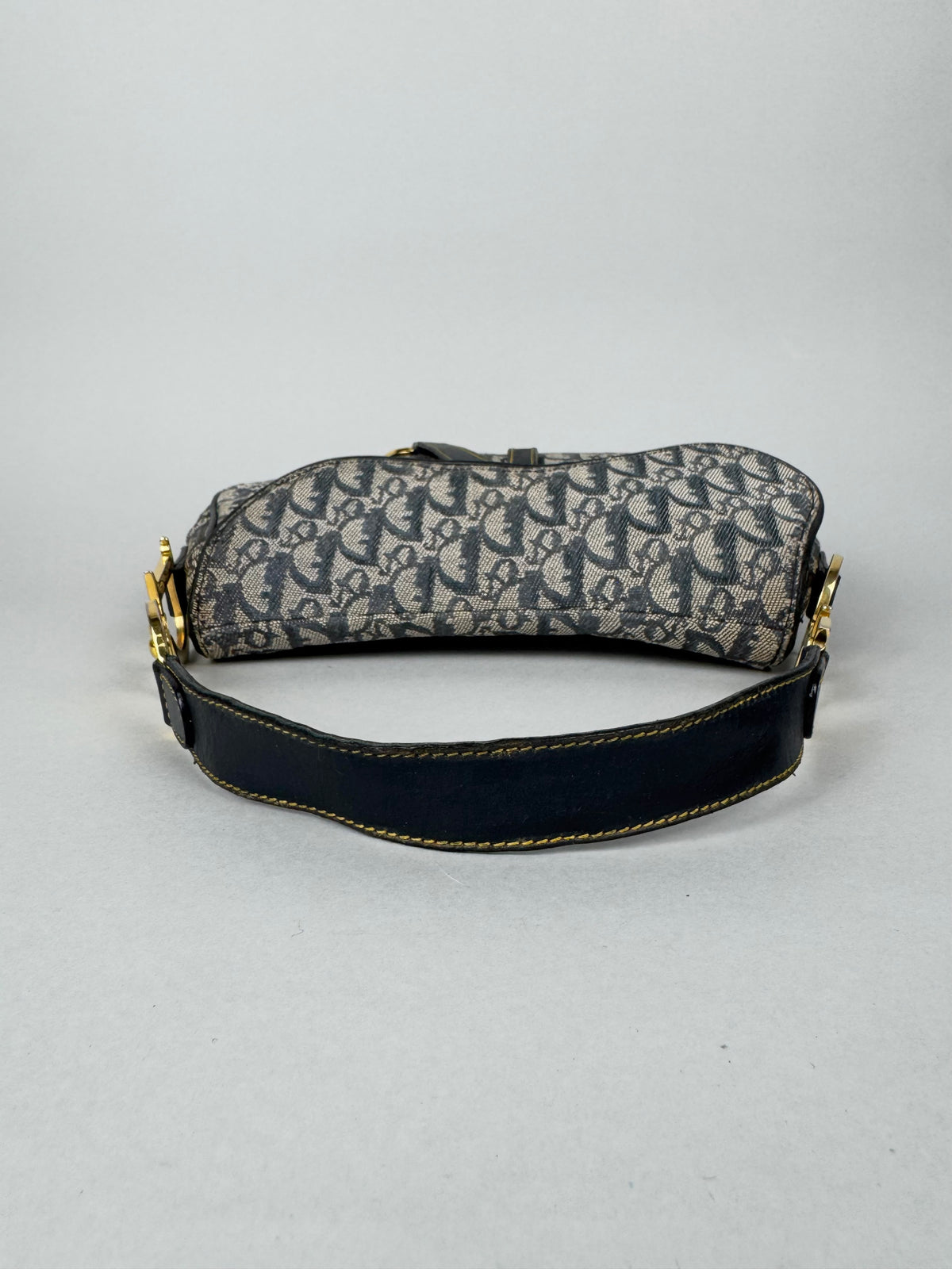 Christian Dior Double Saddle Monogram Oblique