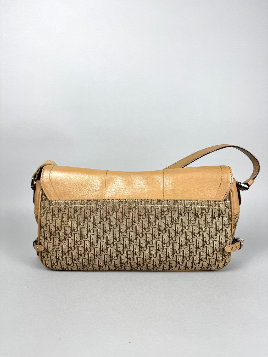 Christian Dior Monogram Street Chic