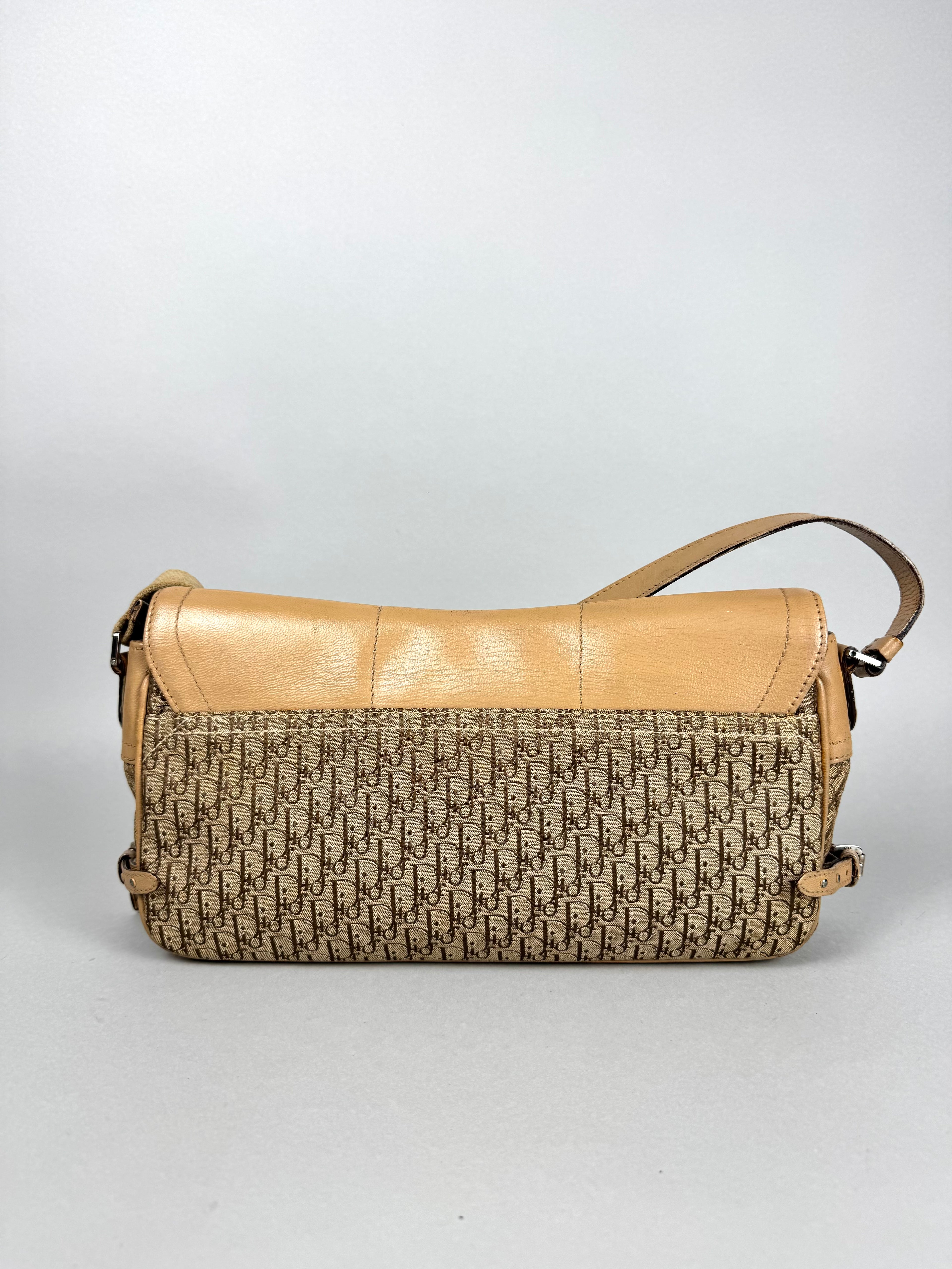 Christian Dior Monogram Street Chic