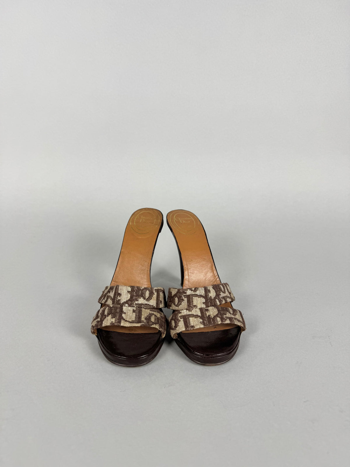Christian Dior Monogram Heels