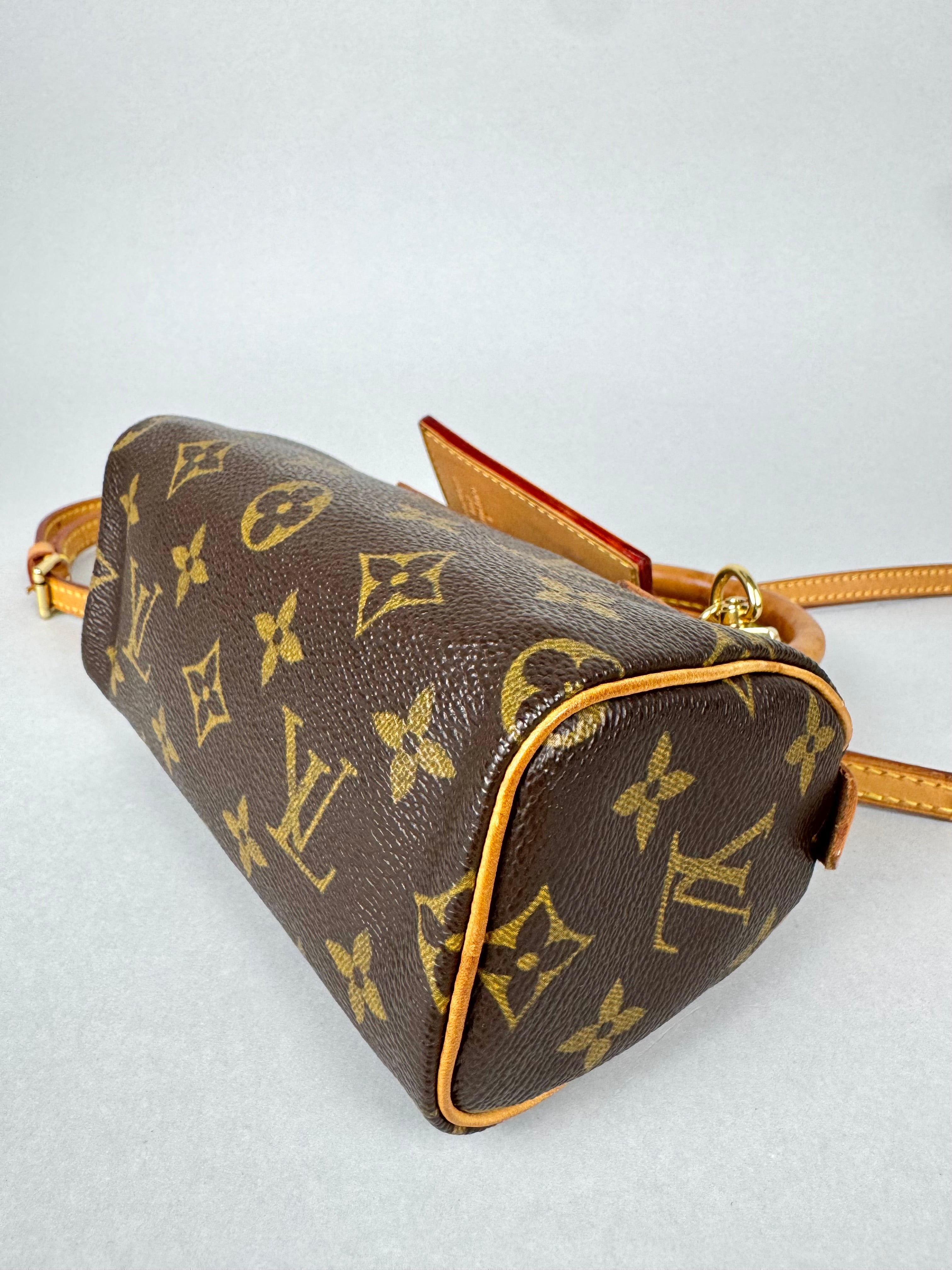 Louis Vuitton Nano Speedy Monogram