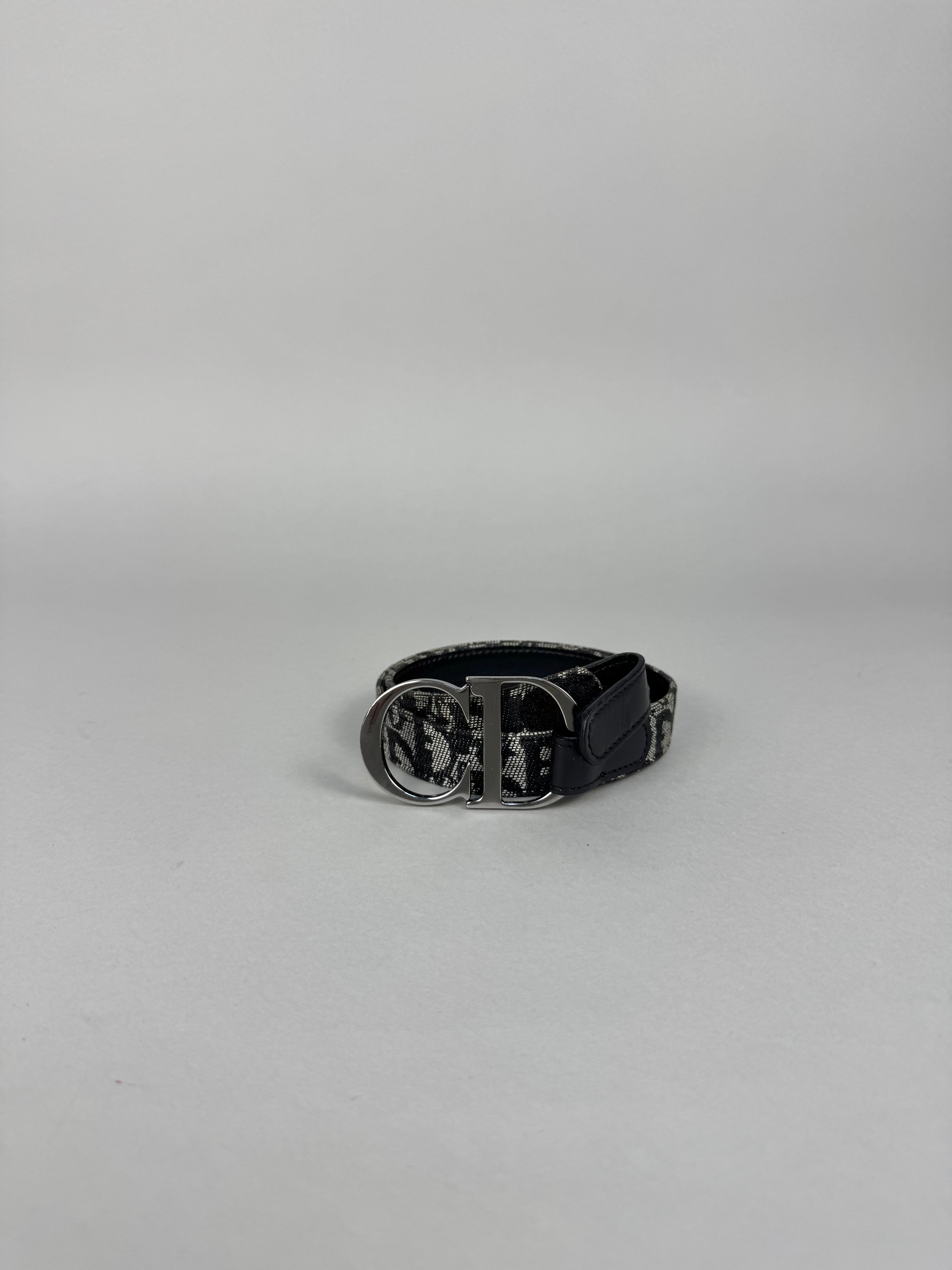 Christian Dior Monogram Oblique Logo Belt