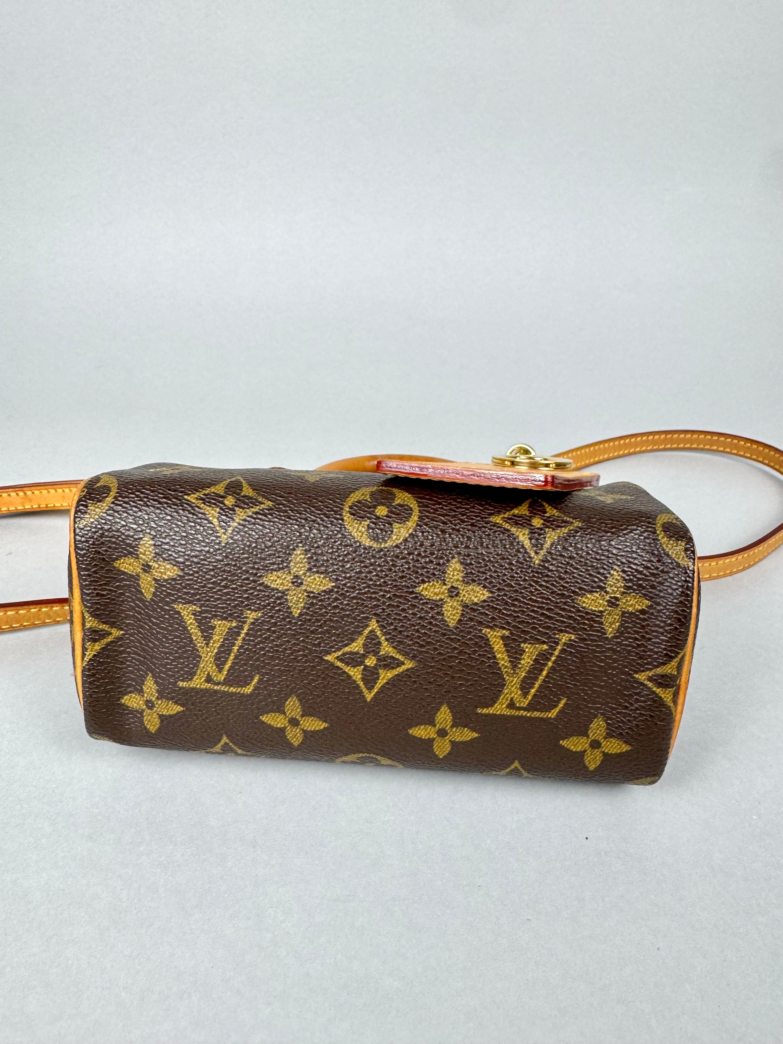 Louis Vuitton Nano Speedy Monogram