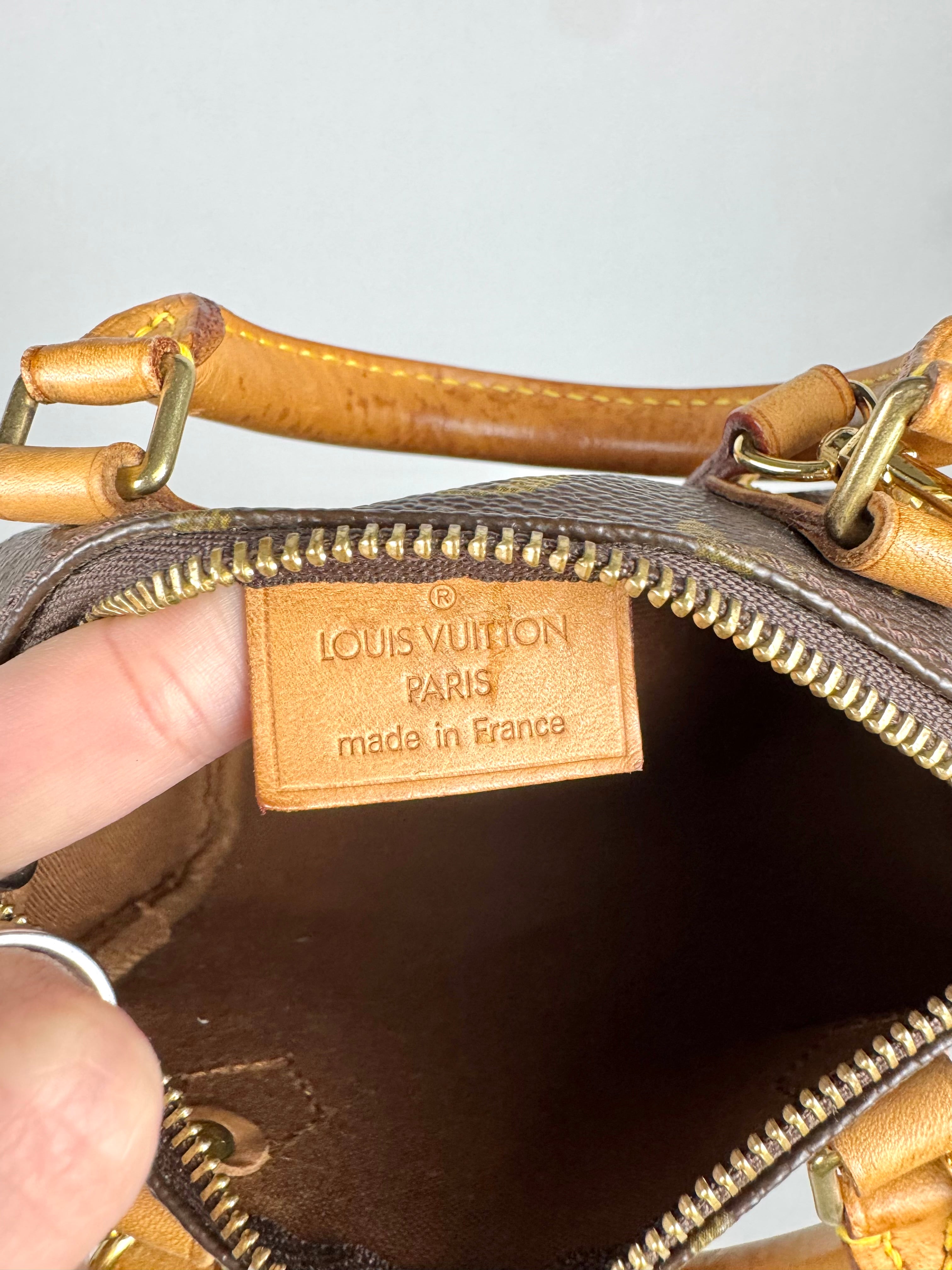 Louis Vuitton Nano Speedy Monogram