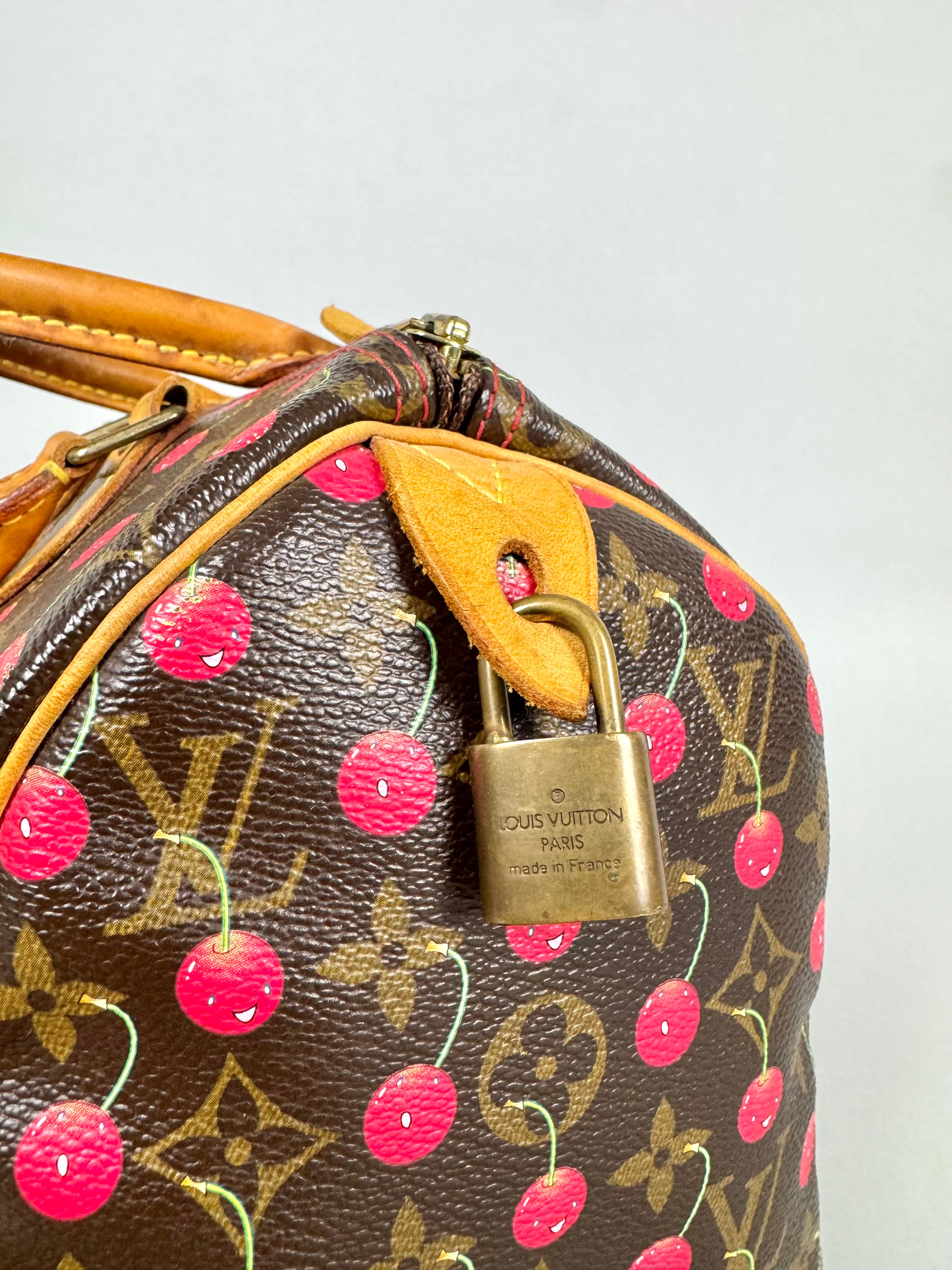 Louis Vuitton Monogram Speedy Cerises 25