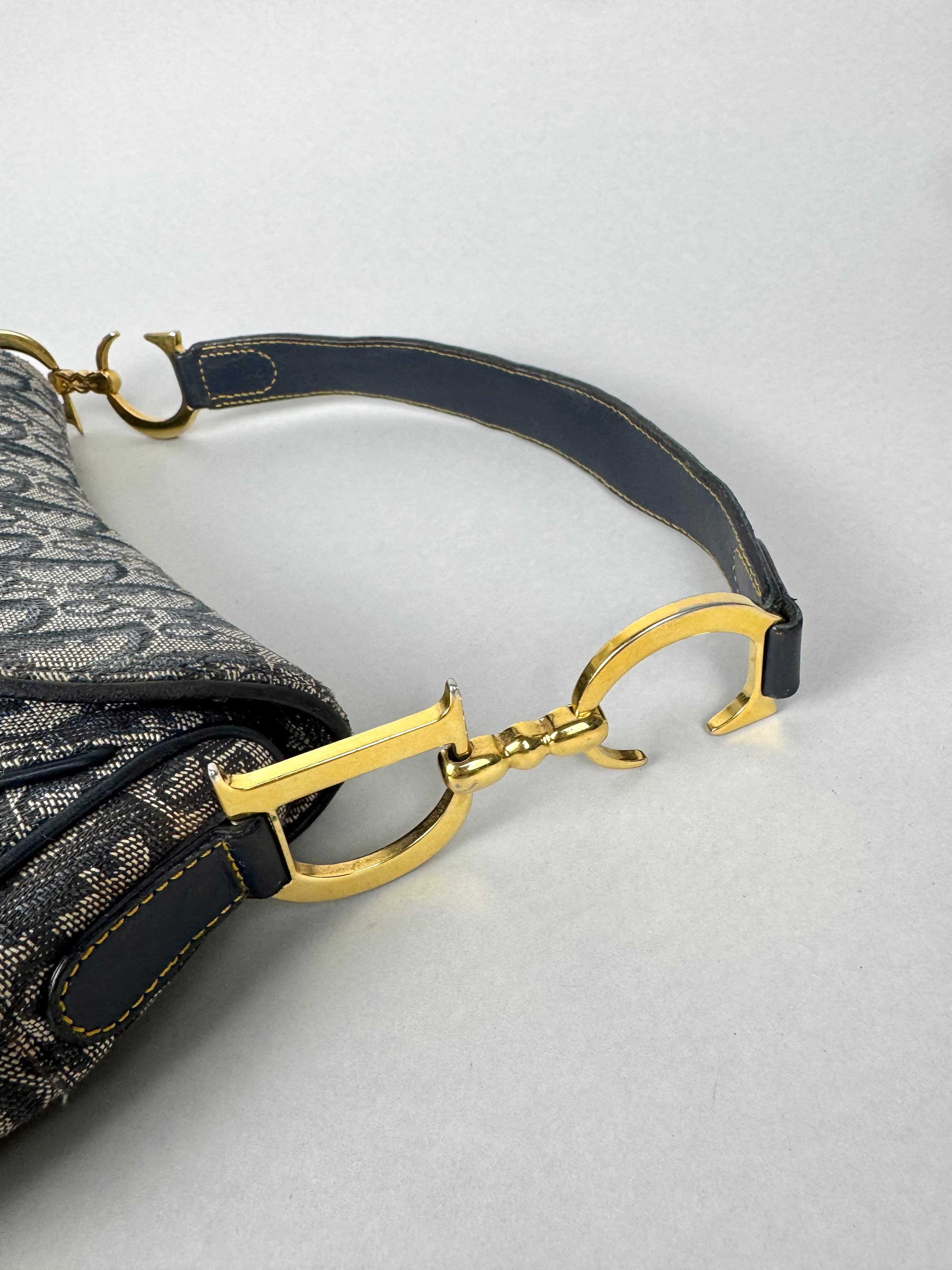 Christian Dior Double Saddle Monogram Oblique