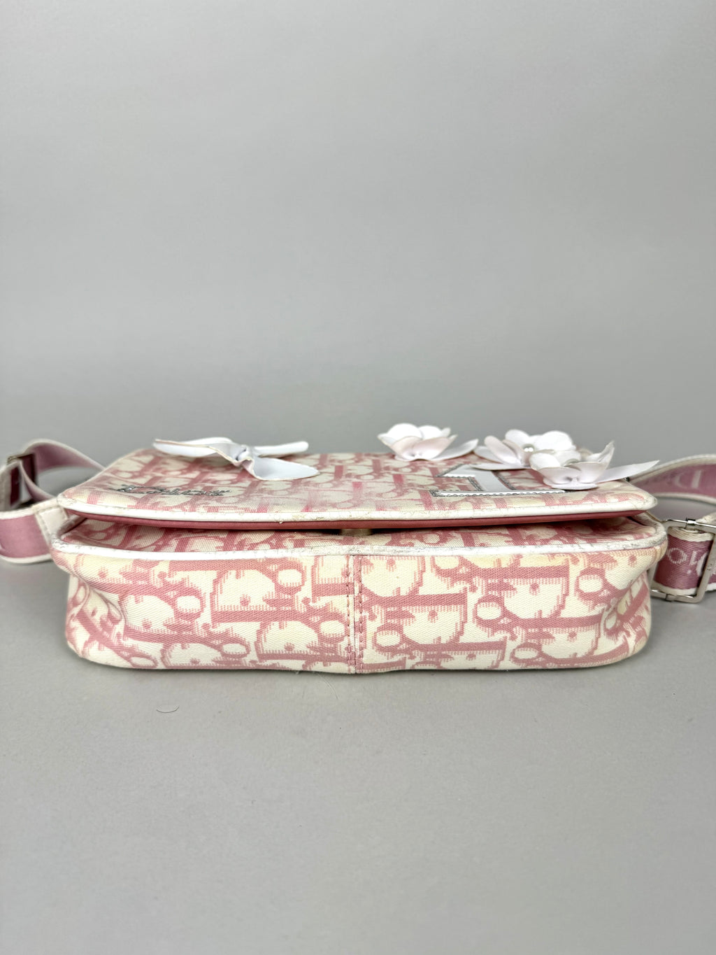 Christian Dior Girly Pink Monogram Reporter Crossbody